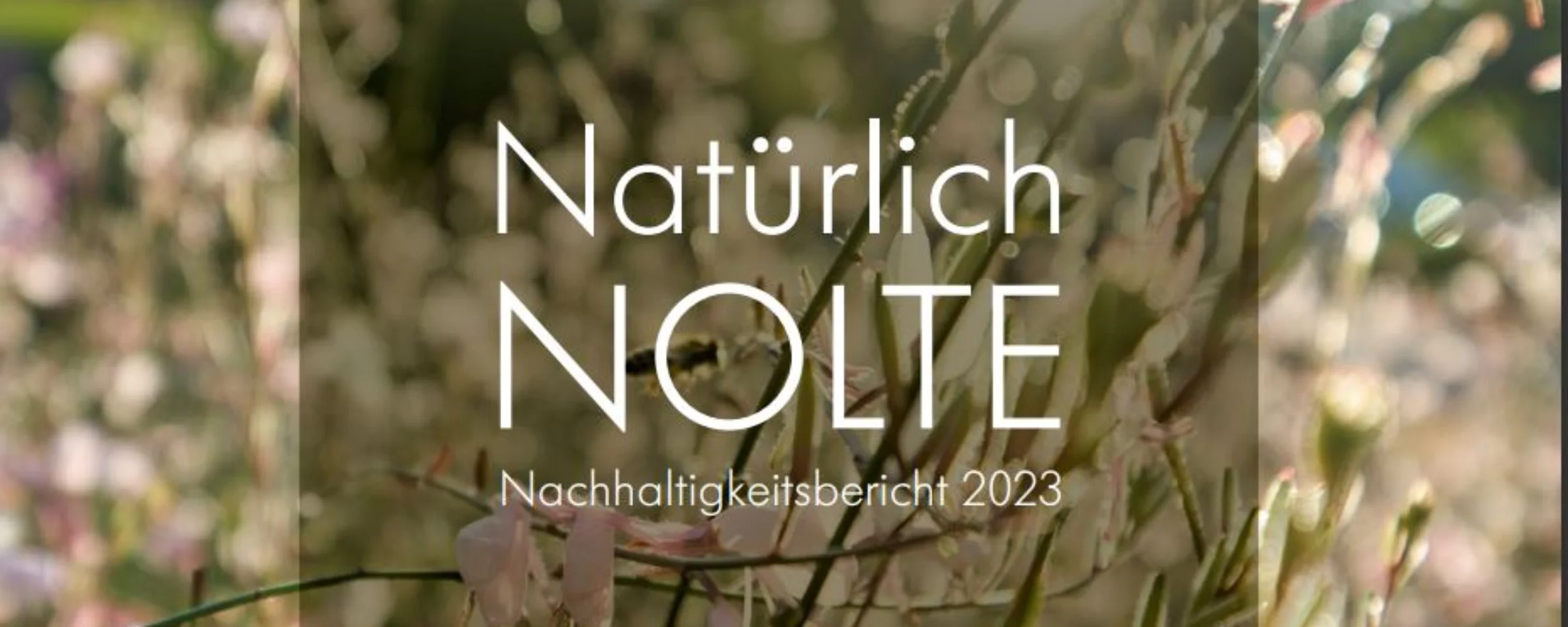 Ein Feld mit blühenden Blumen, im Hintergrund Bäume und blauer Himmel, im Vordergrund die Aufschrift "Natürlich Nolte".