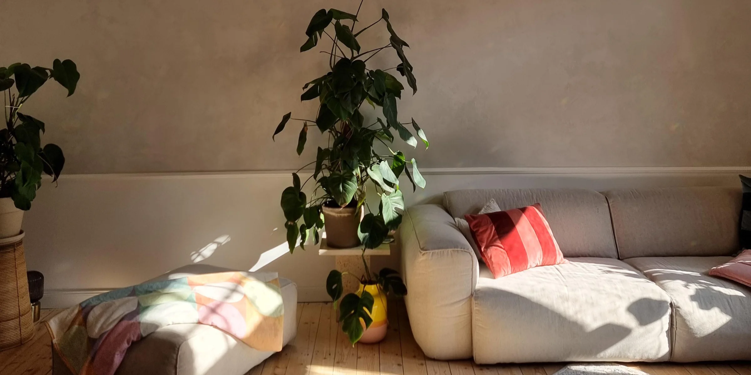 Ein Wohnzimmer mit einem Sofa und Pflanzen wird von natürlichem Licht erhellt, Nolte Living.