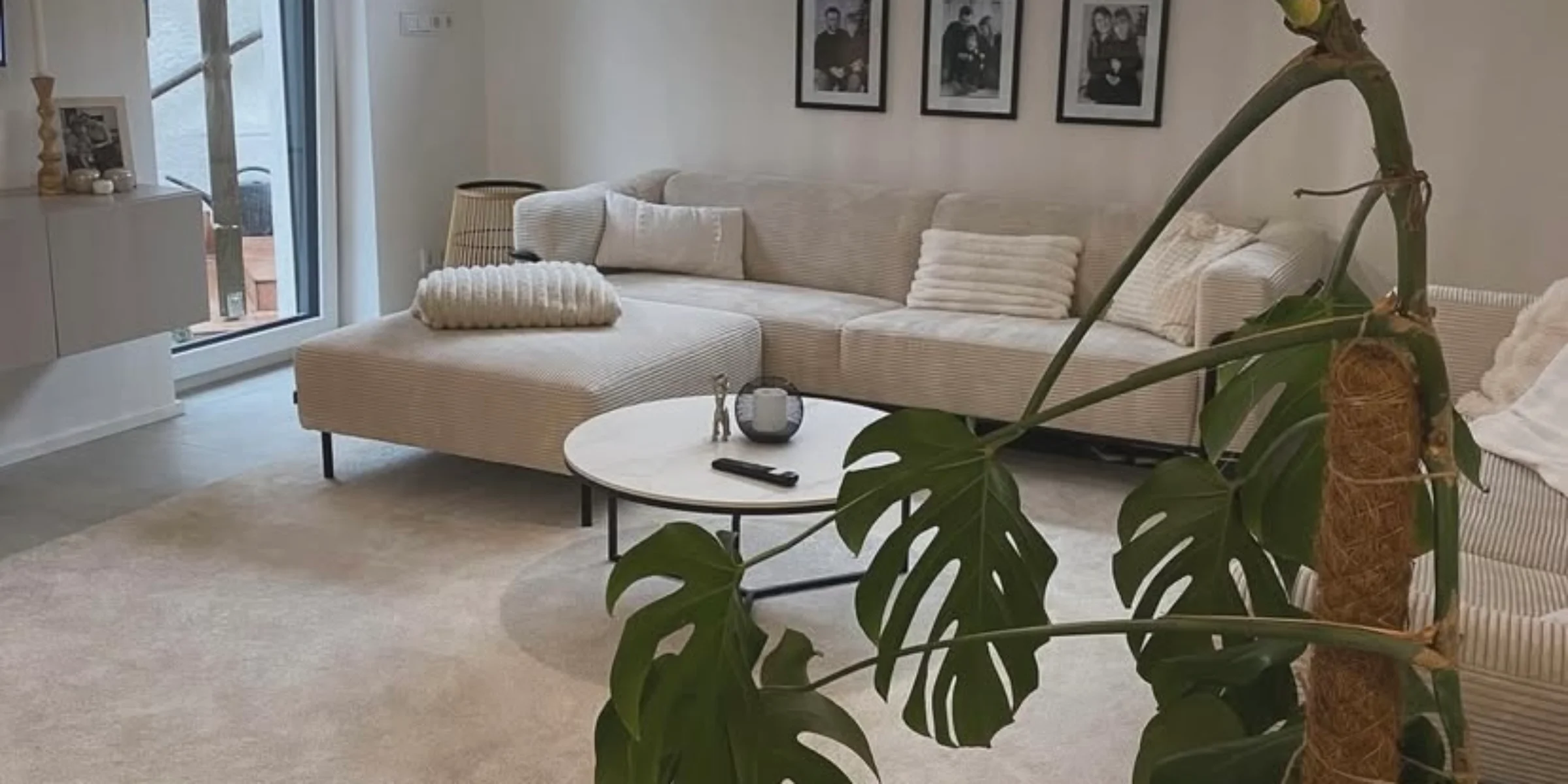 Ein gemütliches Wohnzimmer mit Sofa und Monstera, Nolte Living.