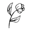 A simple black and white drawing of a flower with two leaves on a stem.