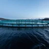 Eine große runde Fischfarm schwimmt im ruhigen Wasser eines Fjords bei klarem Himmel.