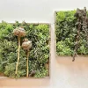 Two square frames with moss, dried poppy pods, and branches on a white background.