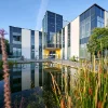 A modern glass-fronted building reflects in a pond, surrounded by plants. Nolte Kitchens.