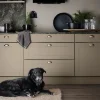 Eine moderne Küche mit einem schwarzen Hund auf einem Teppich. Nolte Küchen.