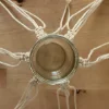 Ein Glasgefäß hängt in einem Makramee-Netz, das kunstvoll geknüpft ist.