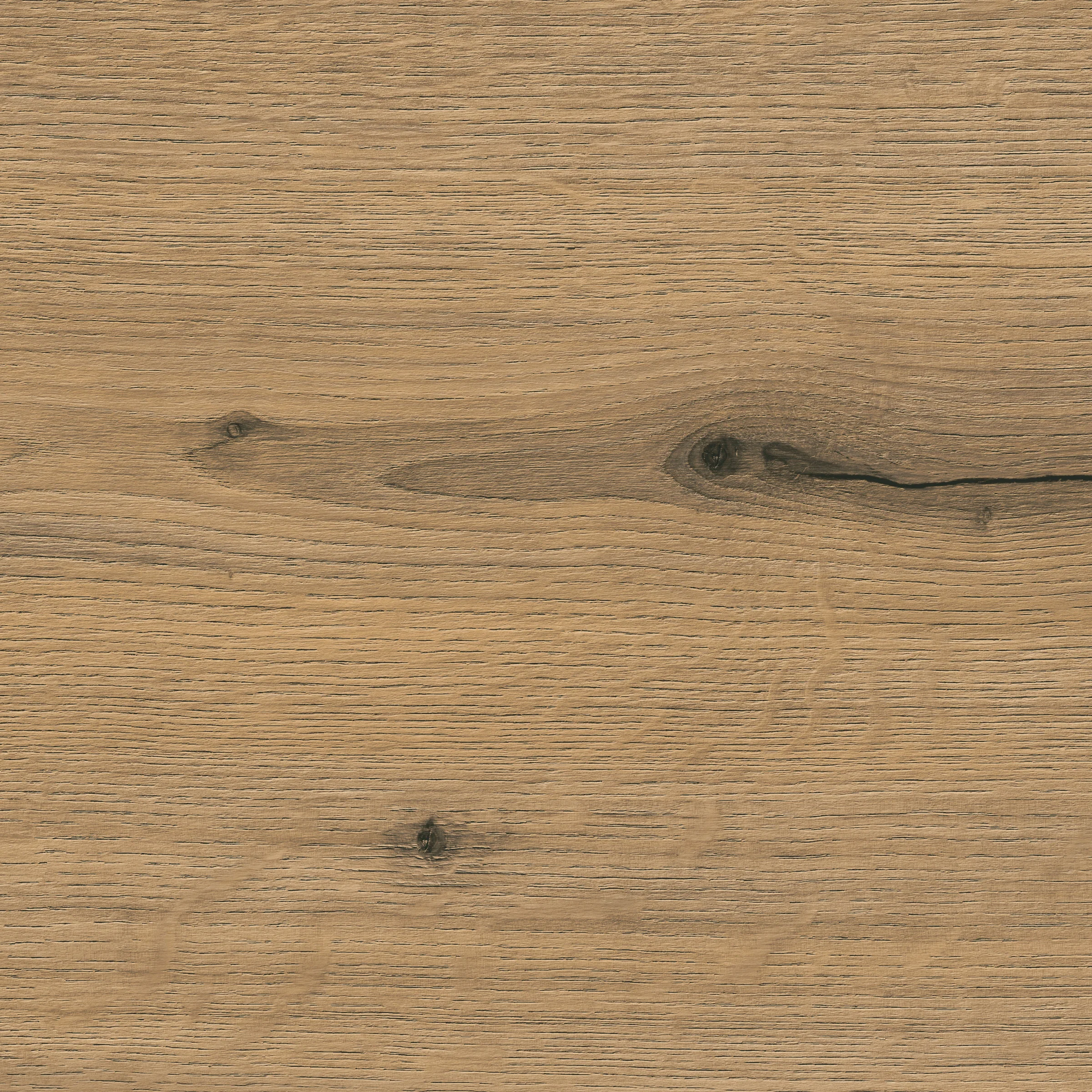 product thumbnail E39_Vulkaneiche.jpg