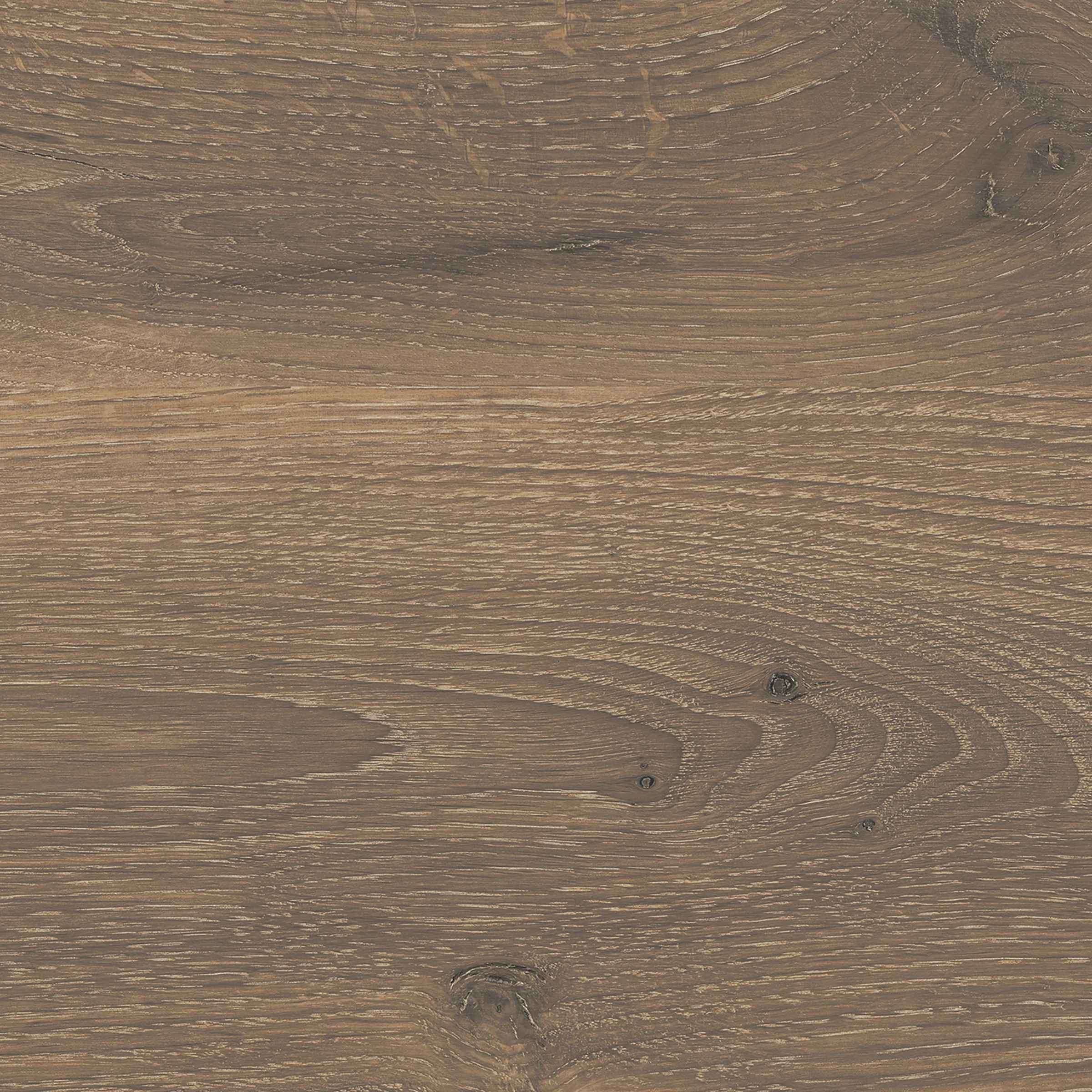 product thumbnail E40_Castell_Eiche.jpg