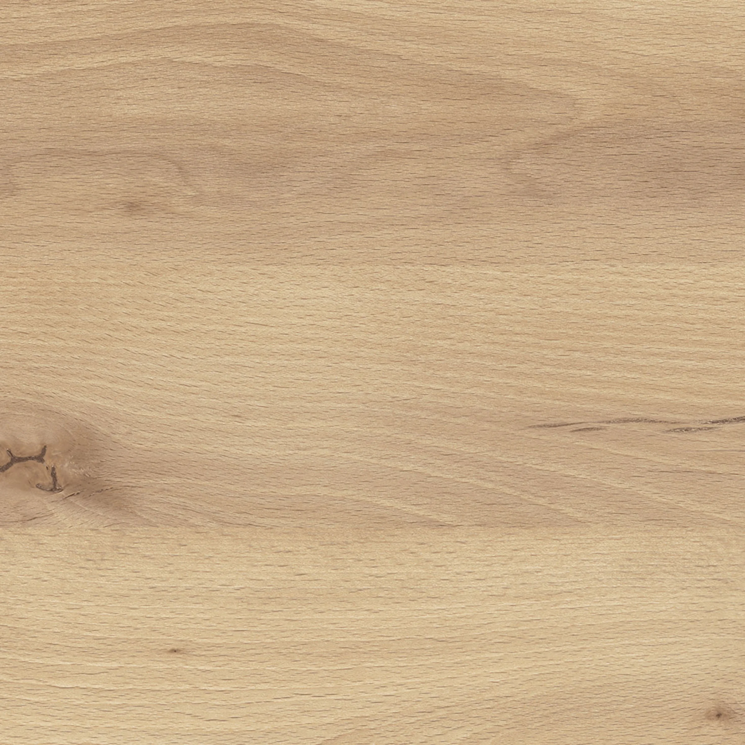 product thumbnail B25_Kernbuche.jpg