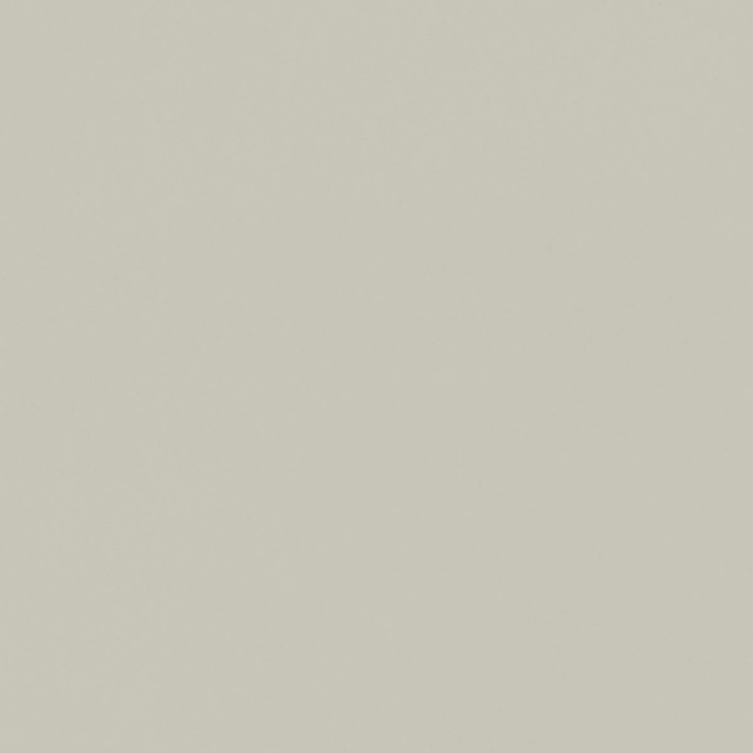 product thumbnail U50_Platingrau.jpg