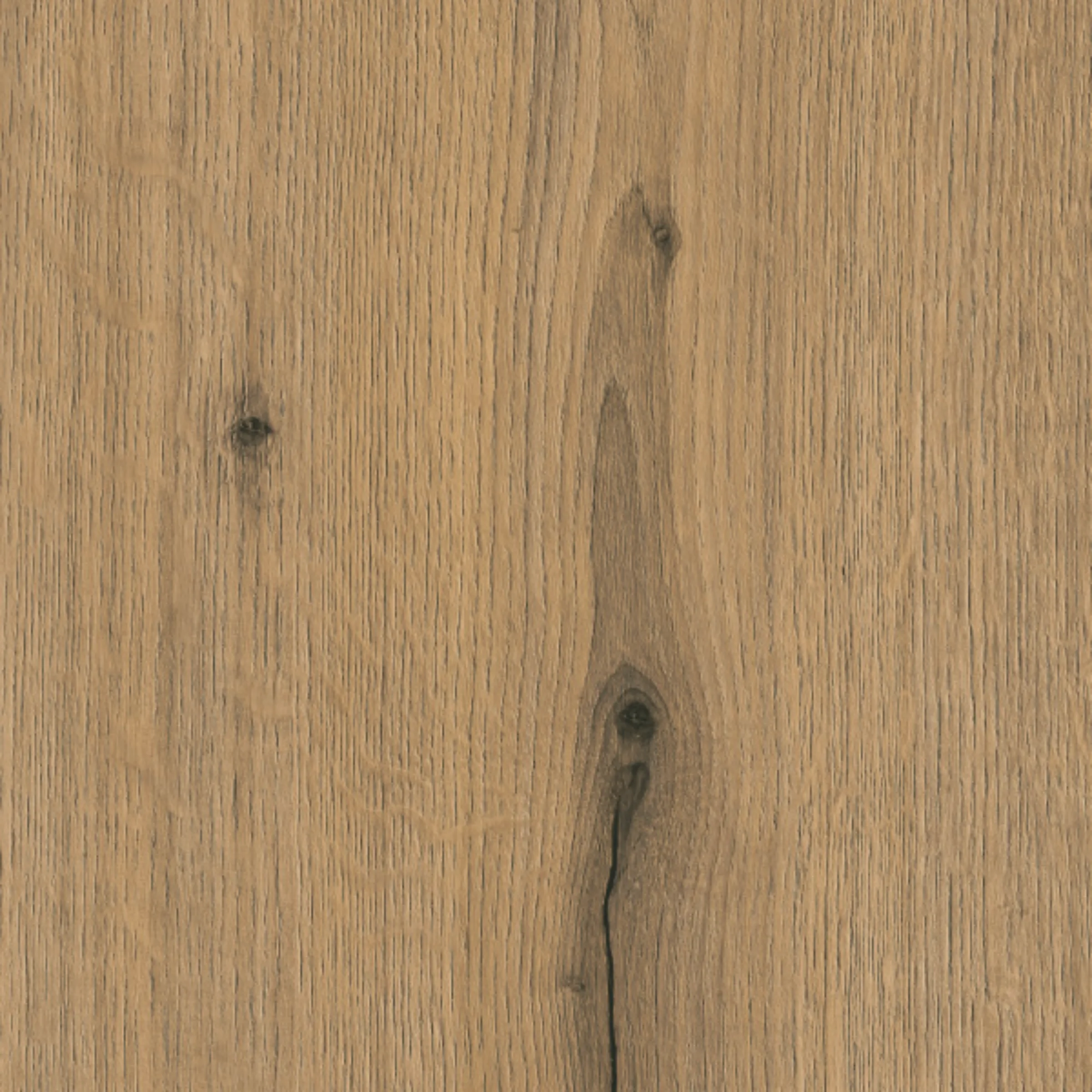 product thumbnail NK26452_ED9___Vulkaneiche.jpg