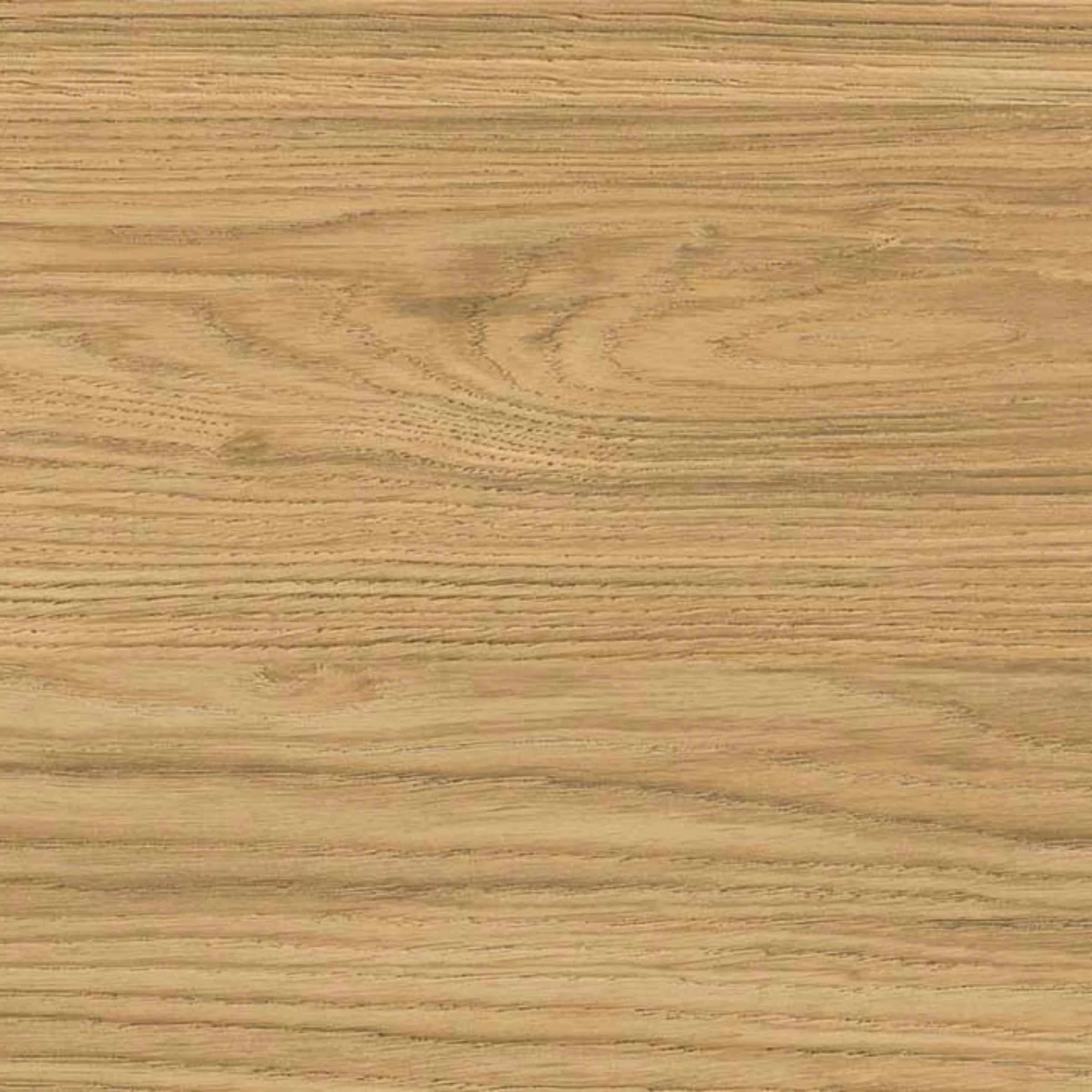 product thumbnail E45_Goldeiche.jpg