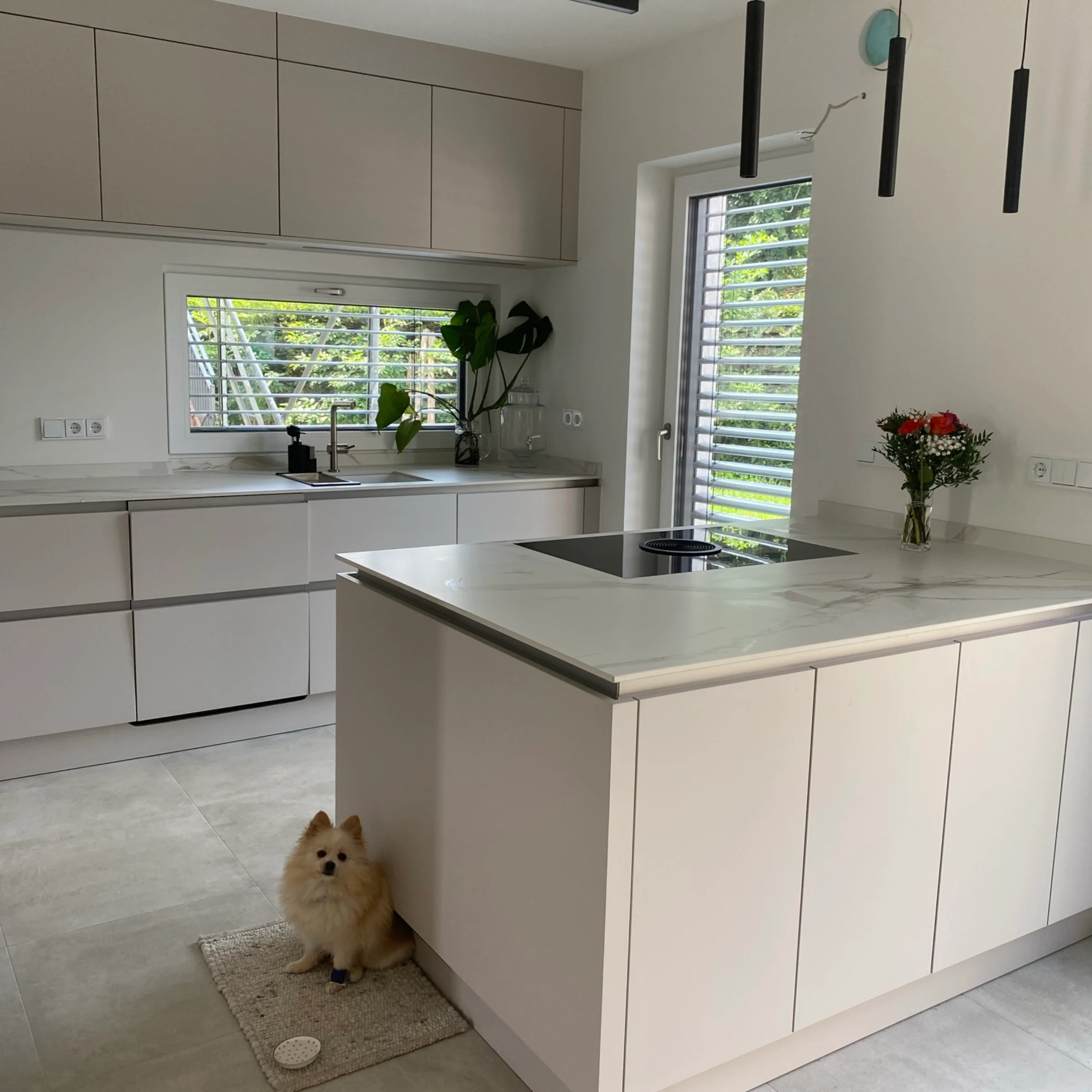 Eine moderne Küche mit Kücheninsel und kleinem Hund, Nolte Küchen.