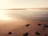 product image Nolte_Kuechen_Nische_Beach_BEA.jpg
