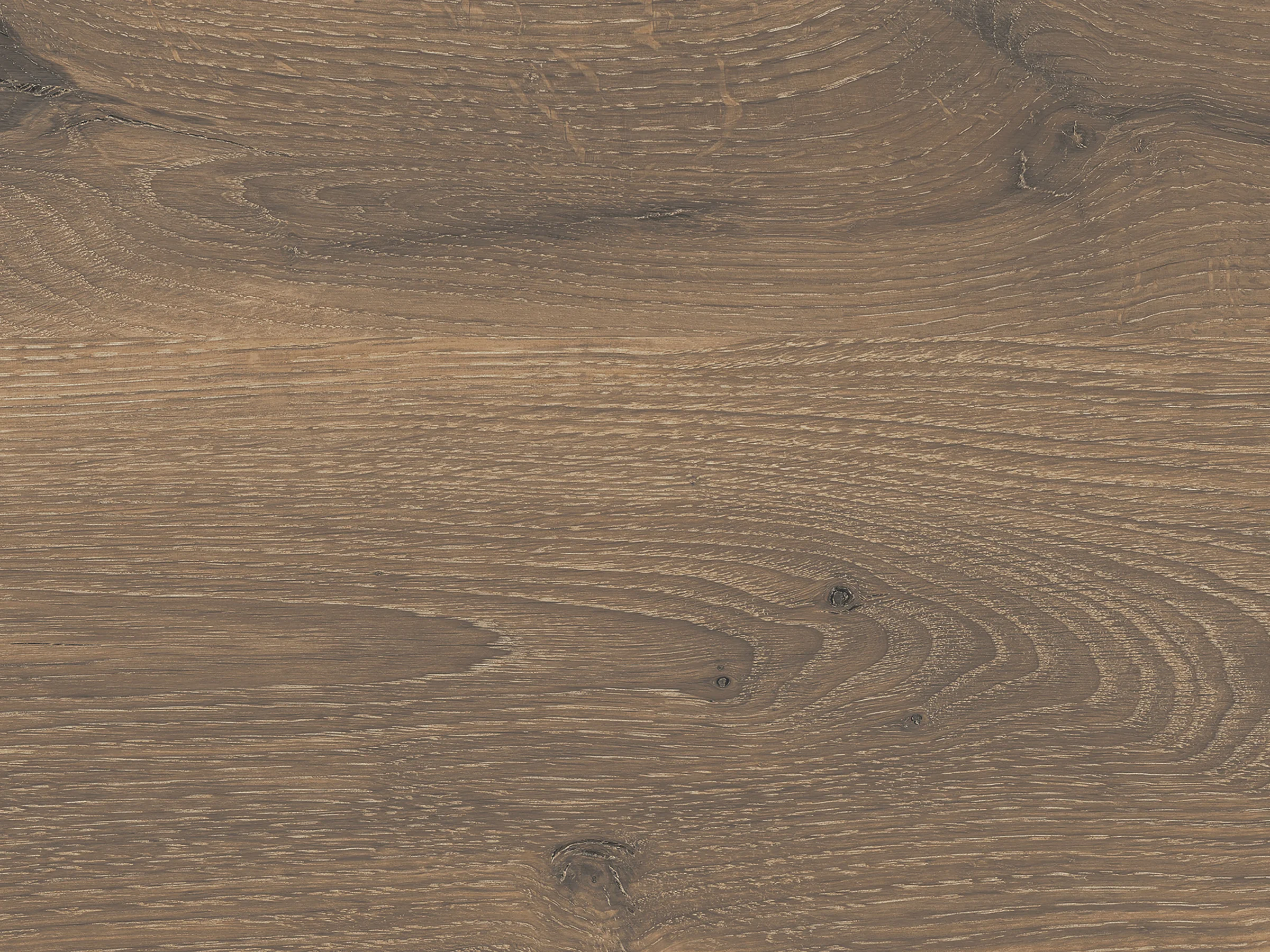product image E40_Castell_Eiche.jpg
