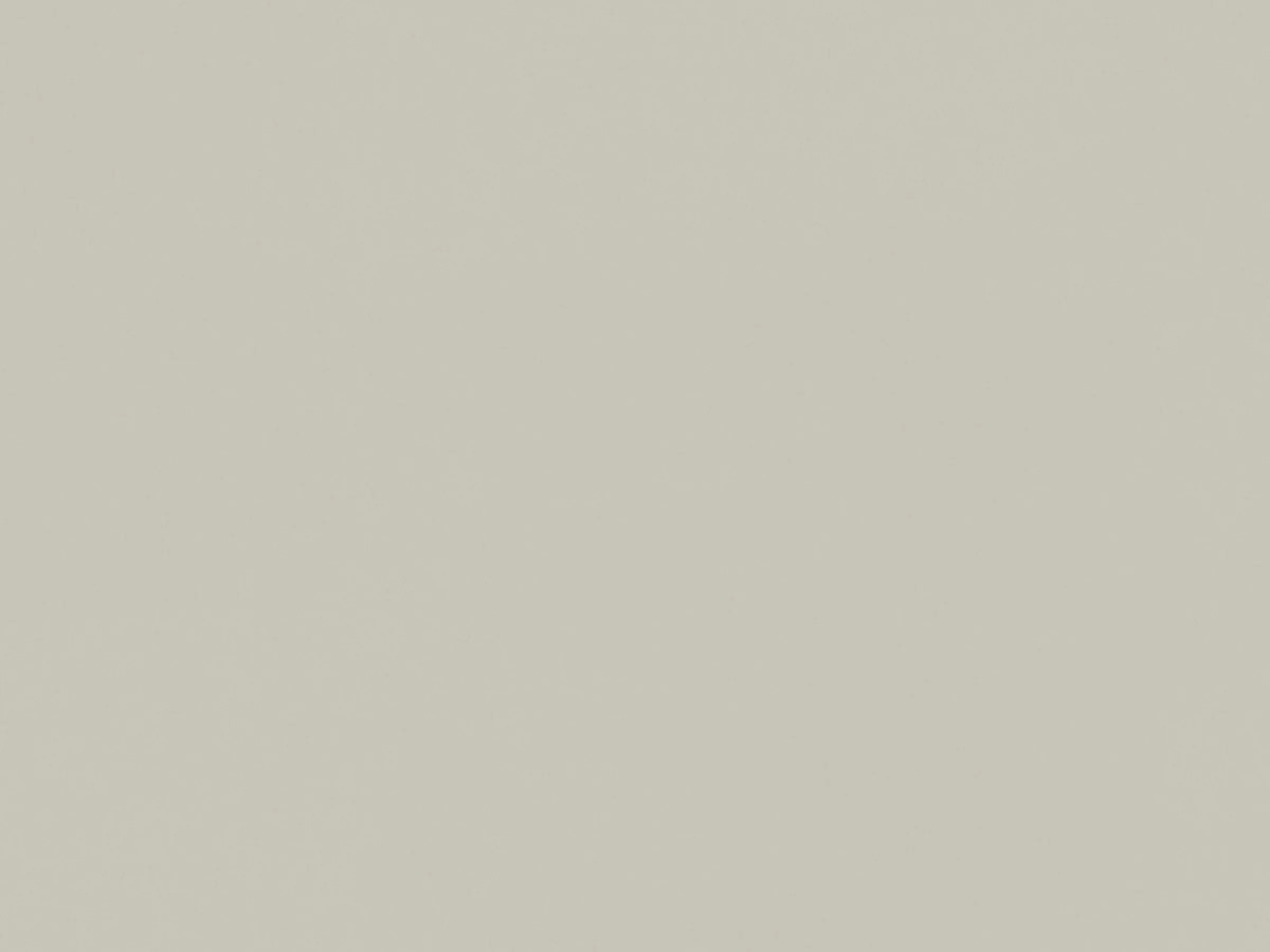 product image U50_Platingrau.jpg