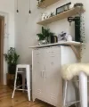 Ein gemütlicher Raum mit Pflanzen und Regalen, passend zu Nolte Küchen.