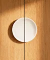 Ein weißer Teller hängt an einer Holzwand als dekoratives Element.
