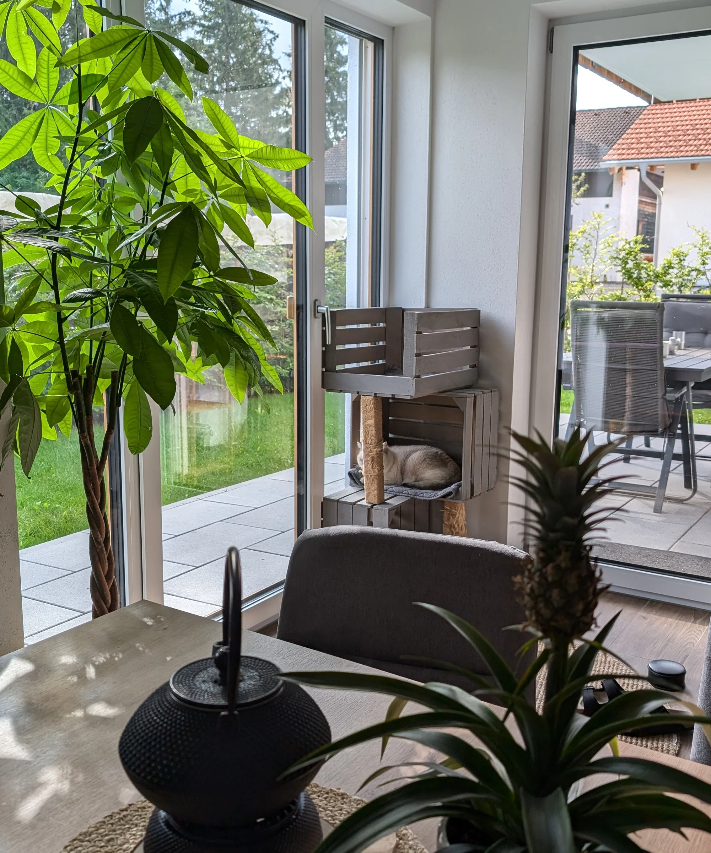 Een woonkamer met grote ramen, planten en een tafel. Nolte Living.