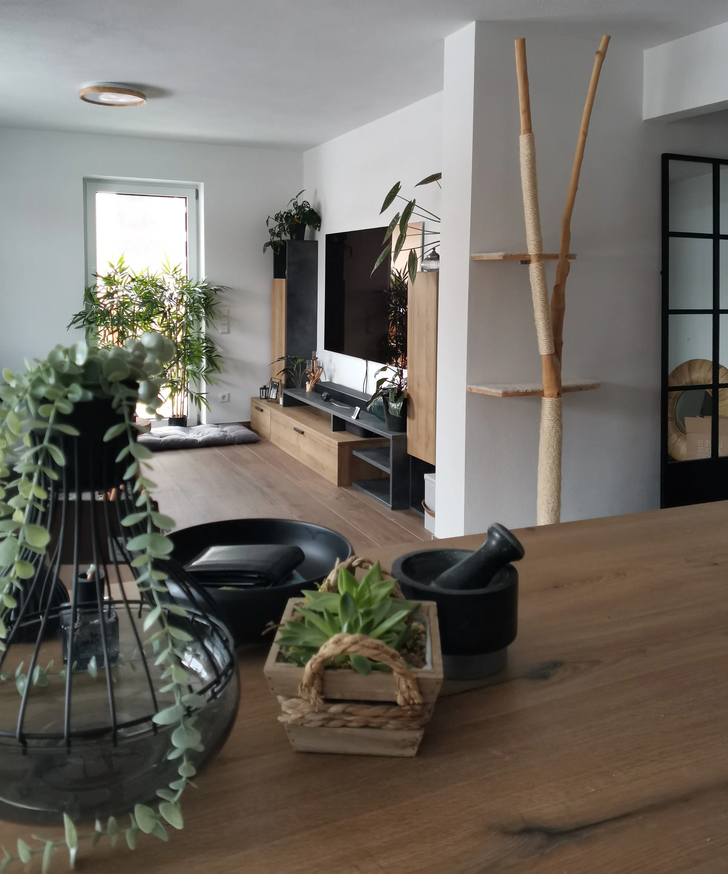 Een stijlvol ingerichte woonkamer met moderne meubels en planten, gepresenteerd door Nolte Living.