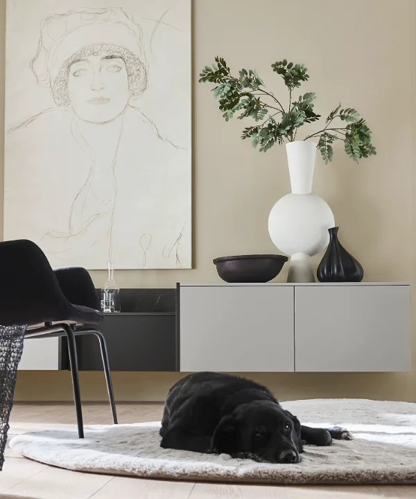 Ein stilvolles Wohnzimmer mit Kunstwerk und Hund auf Teppich. Nolte Living.